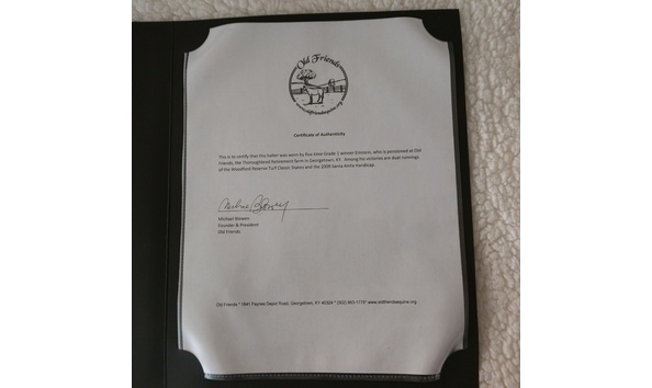 Big image einsteincertificate