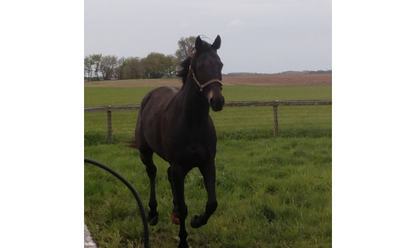 Big image mr.steinilehcrehabjune2019