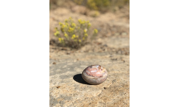 Big image fullsizeoutput 2947