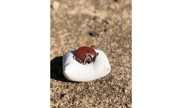 Big image fullsizeoutput 2936