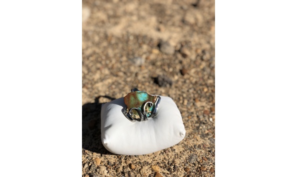 Big image fullsizeoutput 293e