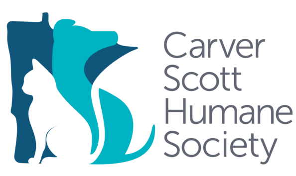 Big image cshs primarylogo final  3 