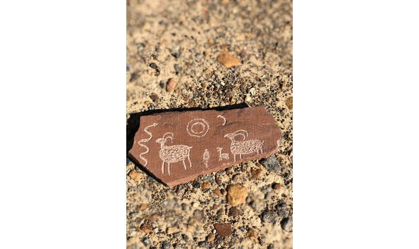 Big image fullsizeoutput 2941