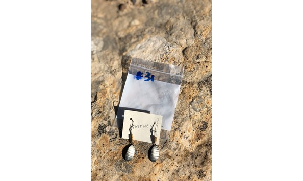 Big image fullsizeoutput 293f