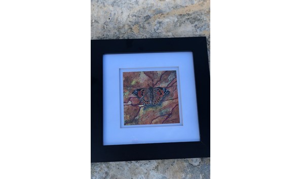 Big image fullsizeoutput 2903