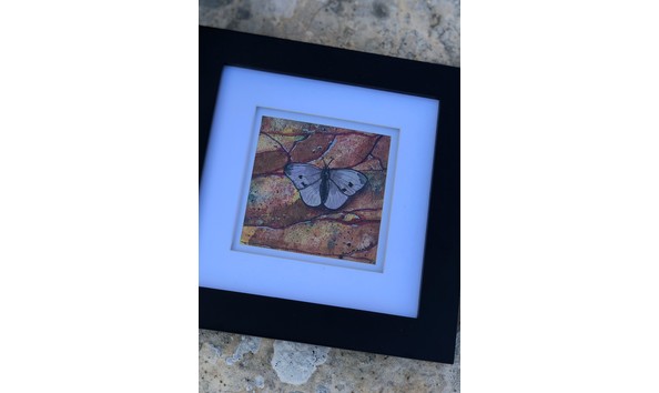 Big image fullsizeoutput 2902