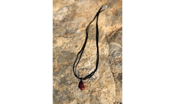 Big image fullsizeoutput 2913