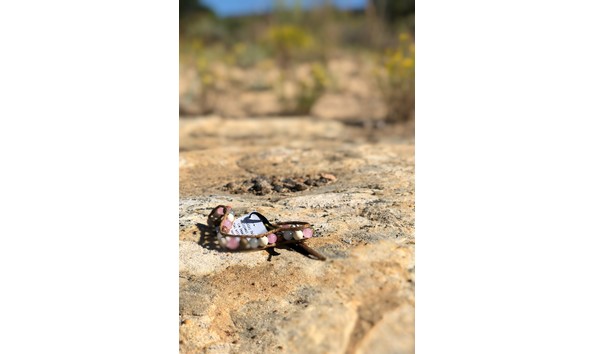 Big image fullsizeoutput 2919