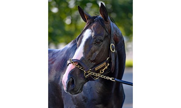 Big image bricks and mortar  11x14 3