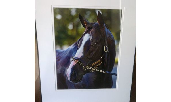 Big image bricksandmortarframedresize