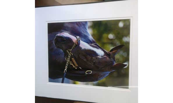 Big image bricksandmortarframedresize