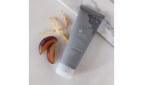 Big image pangea facial cleanser
