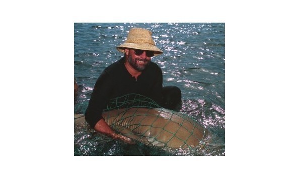 Big image big image big image dr. carrier 2