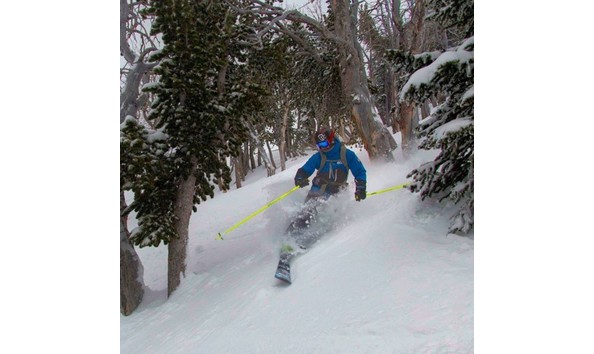 Big image 6f2db07481807a07e4b6