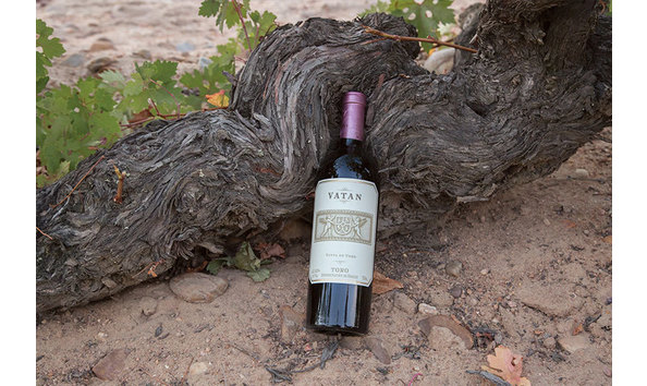 Big image bodegasordonezsl toro a