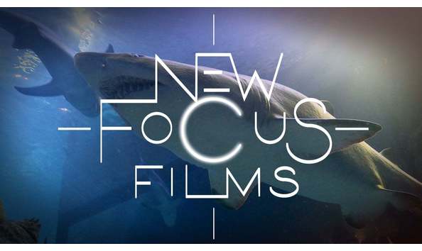 Big image new focus films