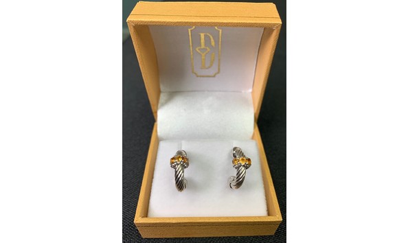 Big image donnys earrings