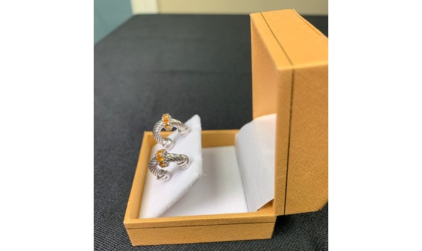 Big image donnys earrings 2