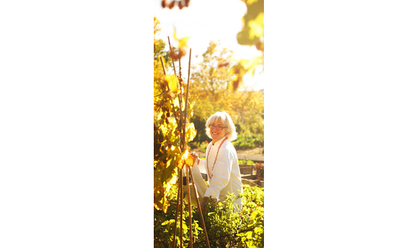 Big image mustards cindy