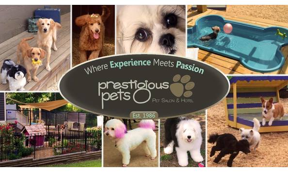 Big image prestigious