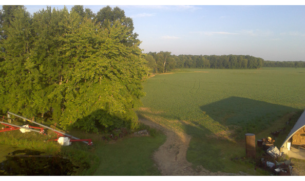 Big image king farm3