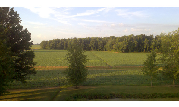 Big image king farm4
