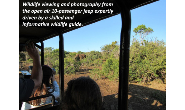 Big image africa viewing2