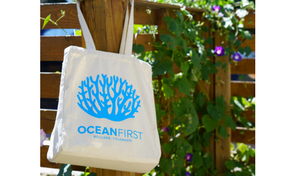 Big image of swag bag 2