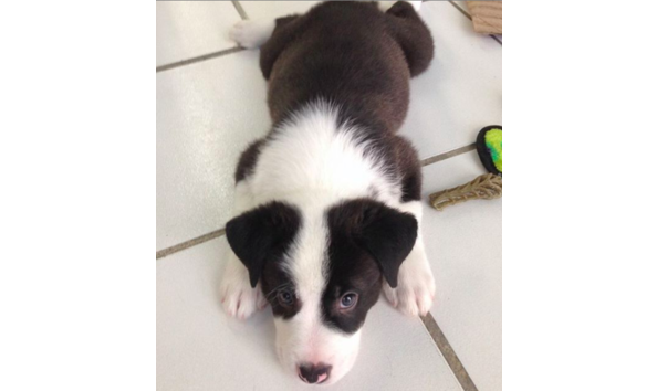 Big image screen shot 2019 09 14 at 10.01.29 pm