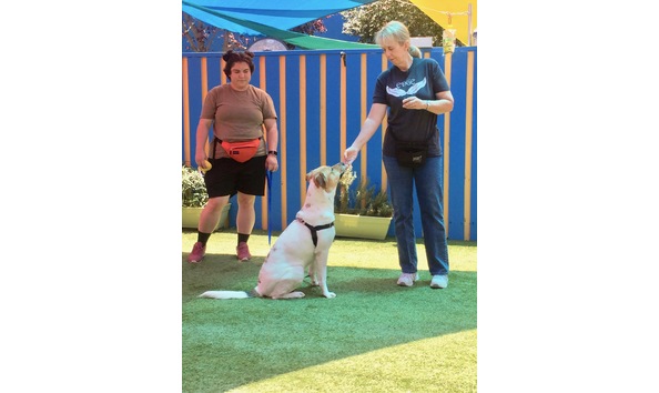 Big image img 4872 2