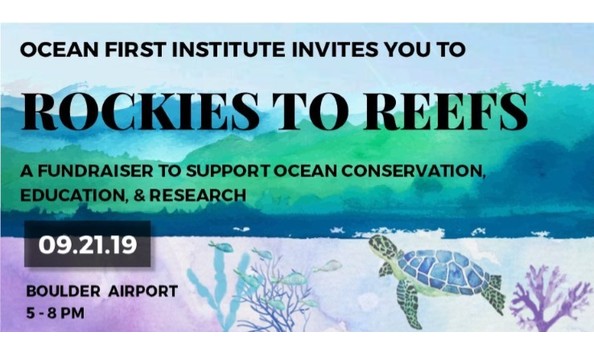 Organization Main Image