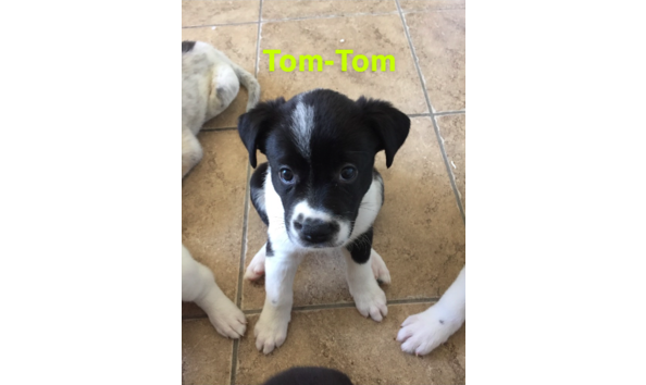 Big image screen shot 2019 09 15 at 9.13.57 pm