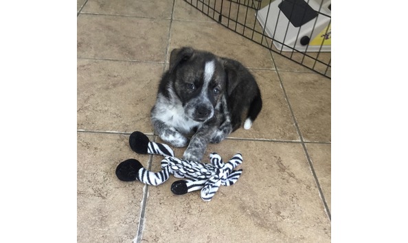 Big image img 6861 2