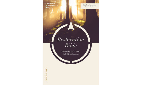 Big image restoration bible 800