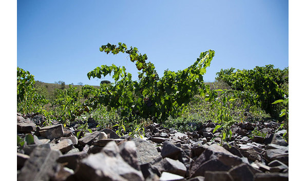 Big image bodegasbreca b