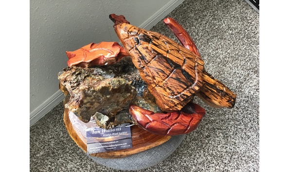 Big image auction turtle