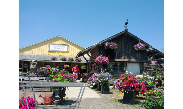 Big image awesome blossom