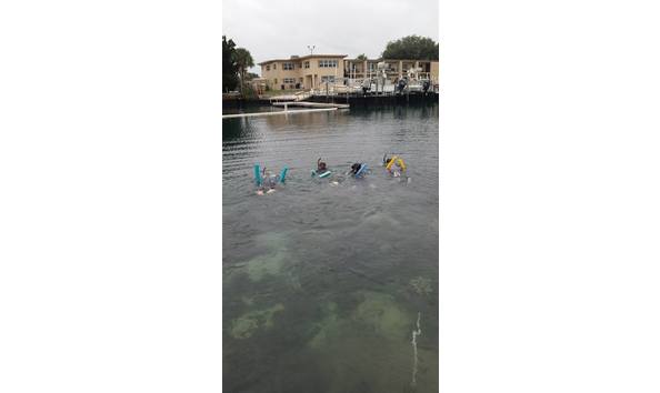 Big image swimming 2