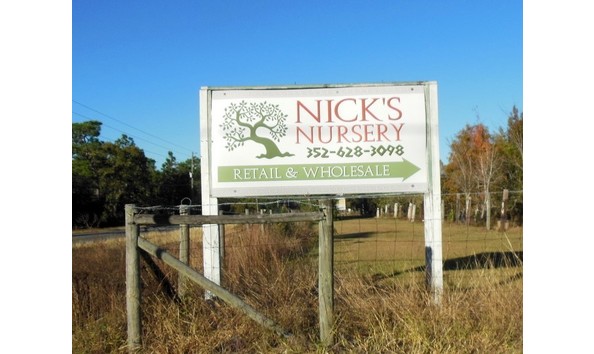 Big image nick s nursery