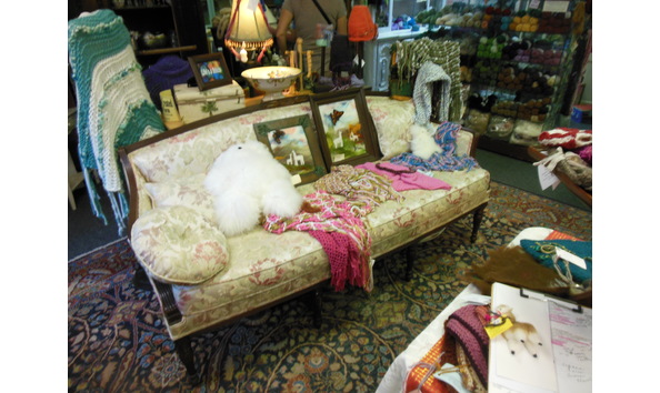 Big image alpaca magic 2