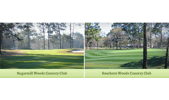 Big image southern woods