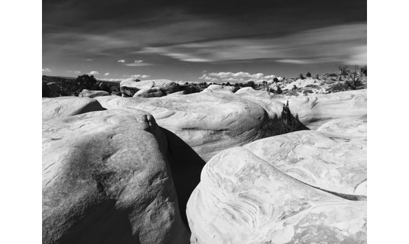 Big image devils garden