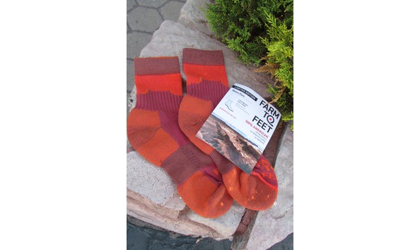 Big image 2019 09 29 20.28.24