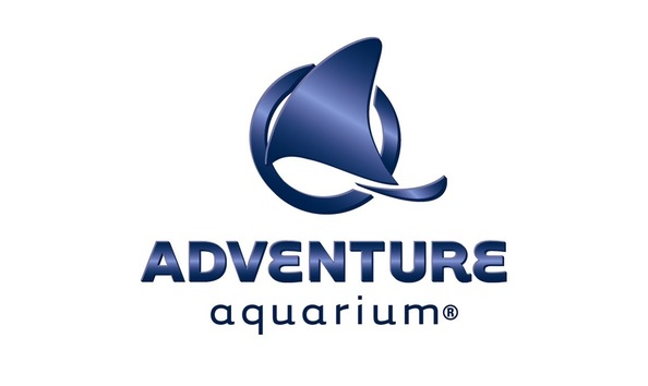 Big image mini magick20191002 39272 18hynfr