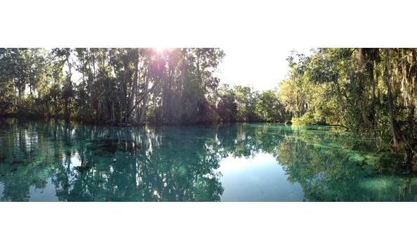 Big image manatee paddle