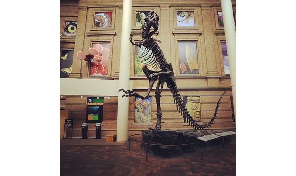 Big image 71542313 2590930470957426 5634353955359162368 n