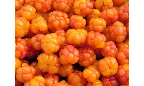 Big image mini magick20191008 11511 1b5qxna