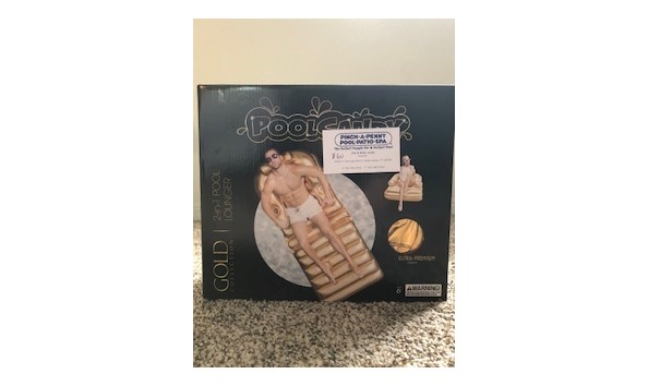 Big image auction pool lounger