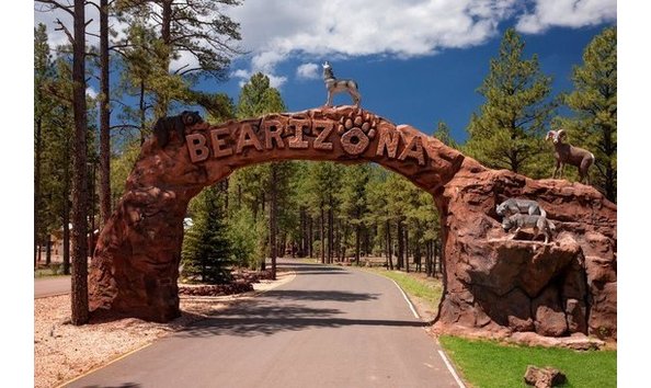 Big image bearizona wildlife park