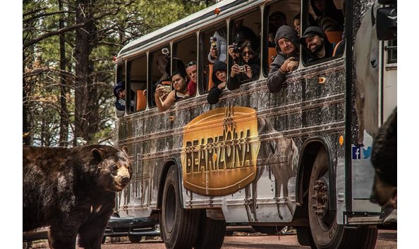 Big image bearizona williams bear bus